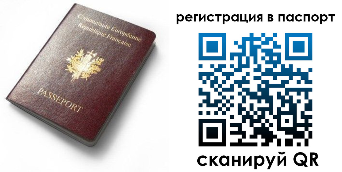 миграционный учет в Димитровграде